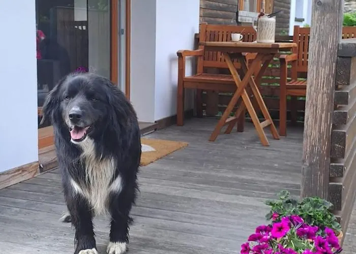 Apartmán 33 Chvalkovice (Hradec Kralove)